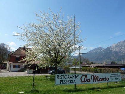 Фото: Ristorante Pizzeria Da Mario